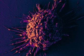 Campaign image - Macrophage Biology in the Single-Cell Era
