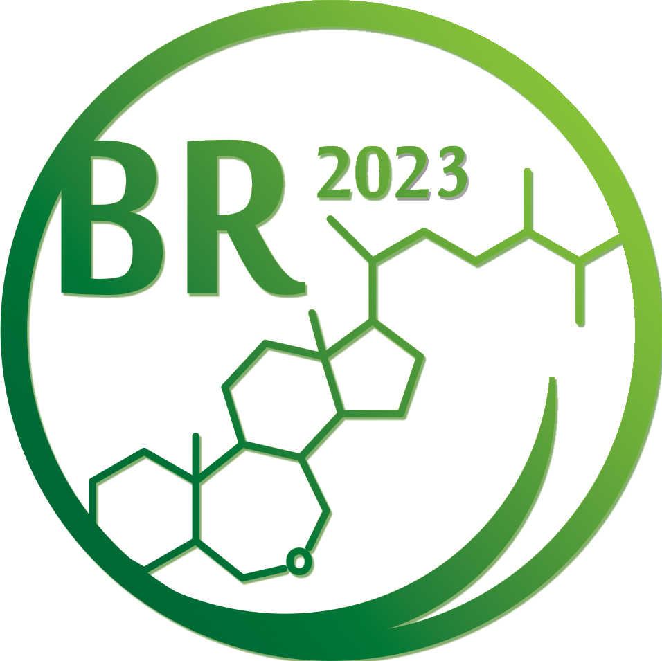 BR logo