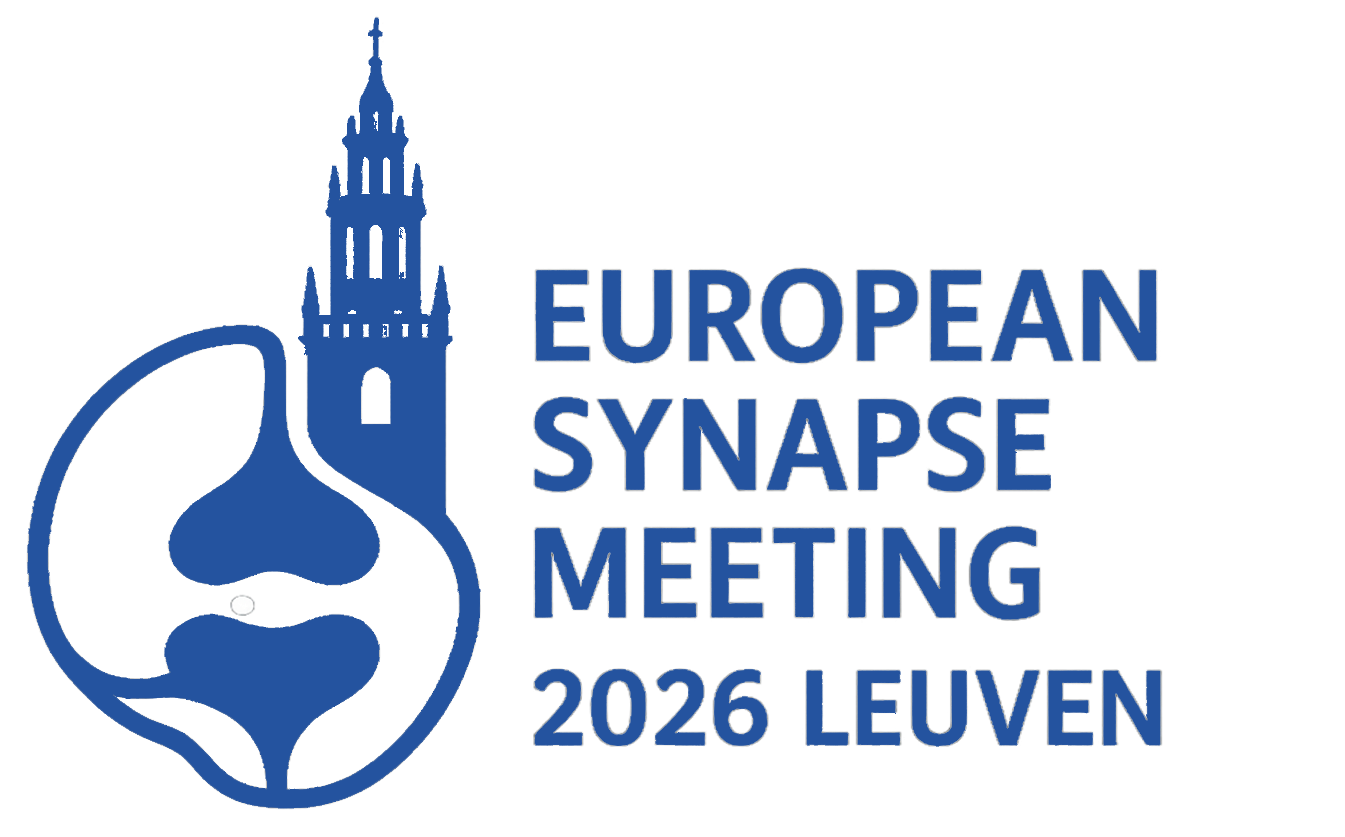 European Synapse meeting 2026
