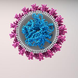 Interdisciplinary Symposium on COVID-19