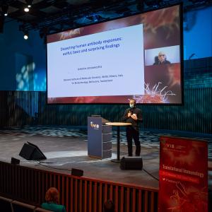 Bart Lambrecht - Translational Immunology