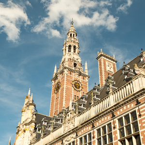 Leuven image 6