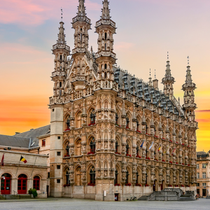 Leuven image 9