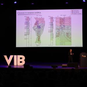 VIB Letters - Stage - De Bijloke