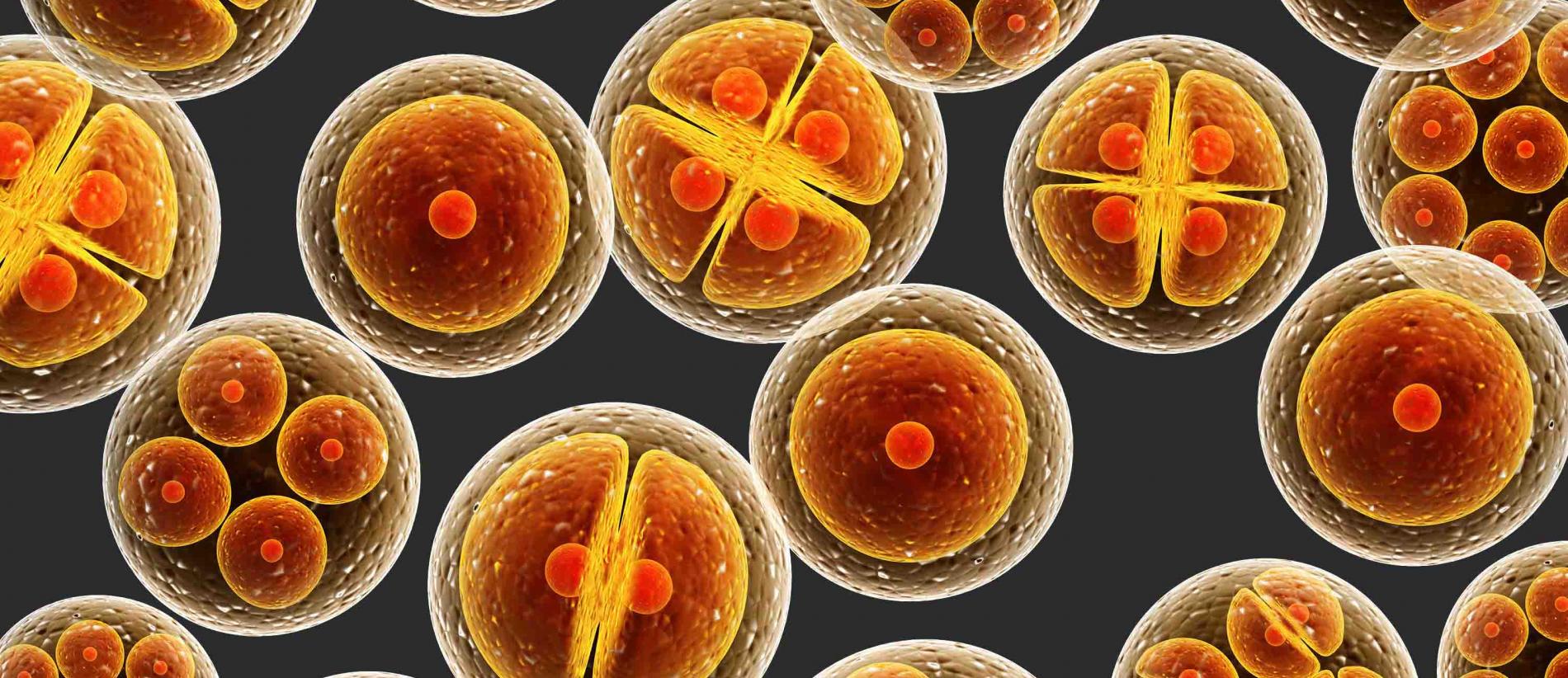 Campaign image - Advances in Cell Engineering, Imaging and Screening