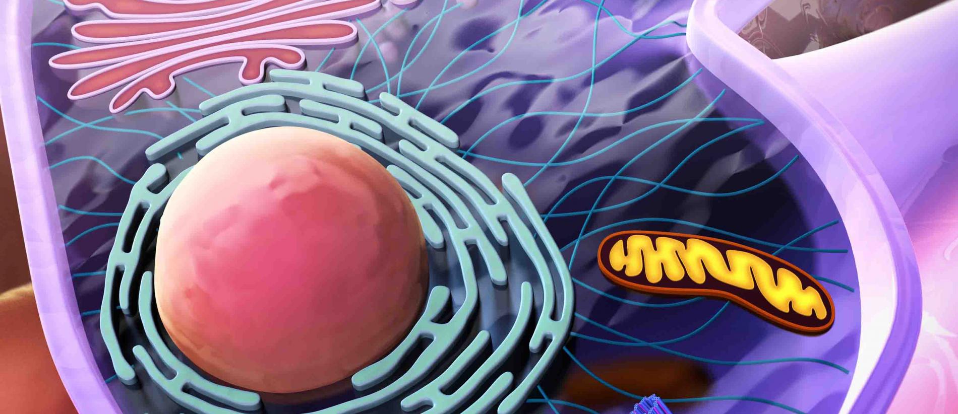 Metabolism in Cancer and Stromal Cells - campaign visual