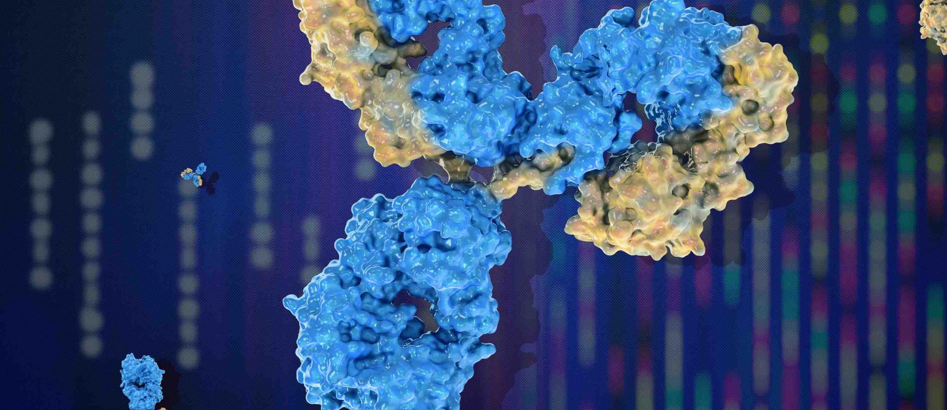 Next Gen Antibodies- NAPA2a-web