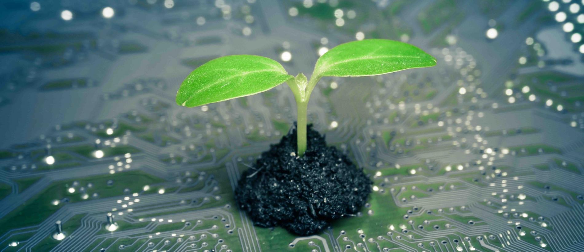 At The Forefront Of Plant Research - campaign visual