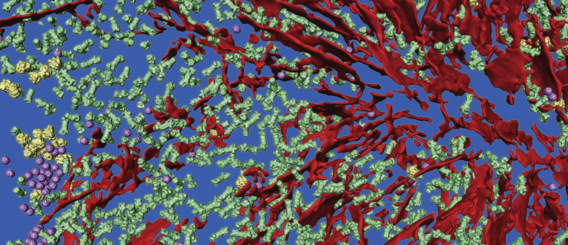 Image by Qiang Guo and Ruben Fernandez Busnadiego, reproduced with permission from Cell Press - Protein Aggregation Meeting - Campaign visual