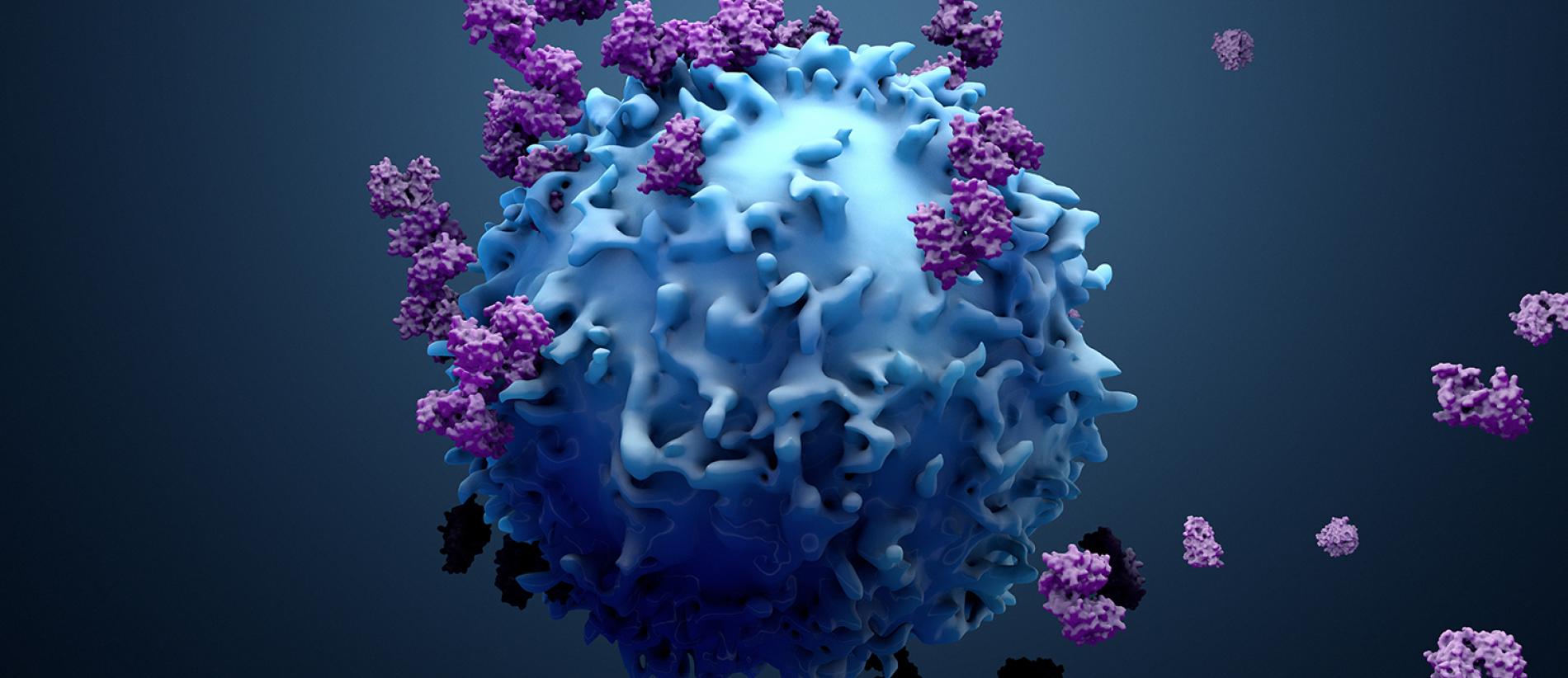Immuno Oncology - campaign visual