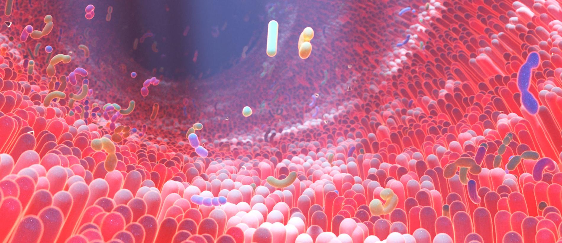 GGIG23 - Campaign image