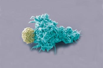 Cell-VIB: The Multifaceted Roles of Type 2 Immunity - Campaign image