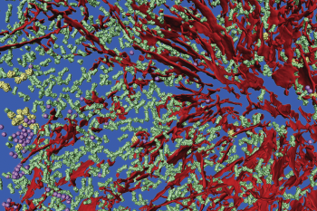 Image by Qiang Guo and Ruben Fernandez Busnadiego, reproduced with permission from Cell Press - Protein Aggregation Meeting - Campaign visual