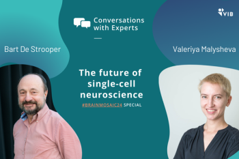 BrainMosaic24 duo interview