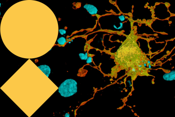 TCP - Training & Conferences - Light Microscopy summer school 