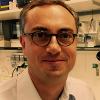 Fischer Andreas - profile picture