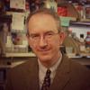 Staudt Louis - profile picture