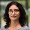 Shvets Elena - VIB Conferences
