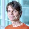 Friedl Peter - VIB Training & Conferences - Speaker picture