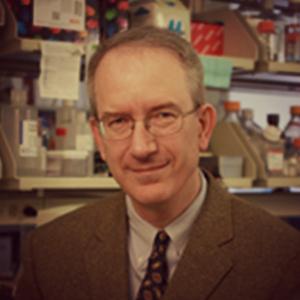 Staudt Louis - profile picture