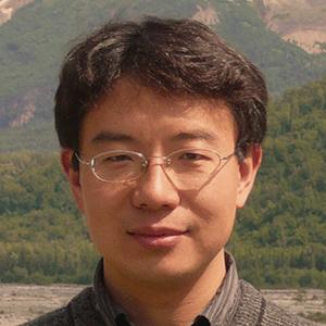 Yin Peng - profile picture