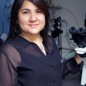 Bautista Diana - VIB Conferences