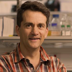 Aricescu Radu - Profile picture (VIB Conferences)