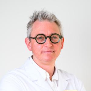 Toon Van Gorp - Profile picture