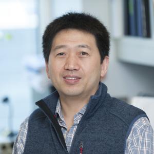 Shi Song-Hai - VIB Training & Conferences