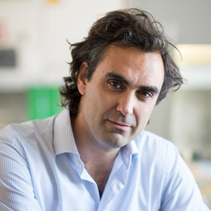 Alimonti Andrea - VIB Training & Conferences - Speaker picture