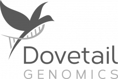Dovetail Genomics - Sponsor logo