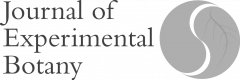 JXB - Sponsor logo