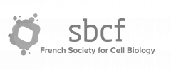SBCF - Sponsor logo