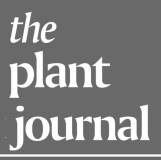 The Plant Journal - logo