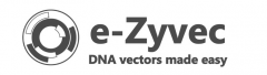 E-Zyvec - Company logo