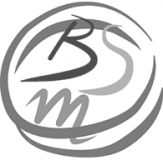 BSM - VIB Conferences