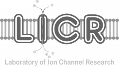 Laboratory of Ion Channel Research logo