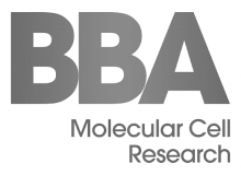 BBAMCR logo