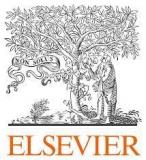Logo Elsevier