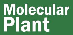 Molecular Plant logo