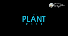Plant Cell