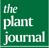 The Plant Journal