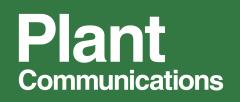 Plant Communications logo