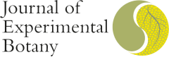 journal of experimental botany - sponsor logo - VIB Conferences
