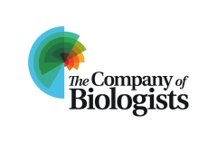 The Company of Biologists - VIB Conferences - Sponsor logo