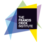 Francs Crick logo