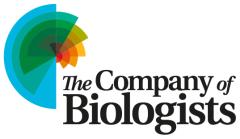 The Company of Biologists - logo