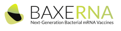 logo baxerna